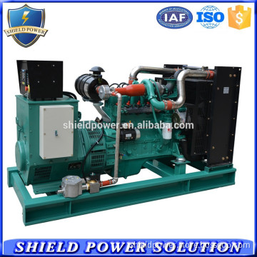New Brand 60KVA CNG Generator Set 50KW Natural Gas Powered Generators